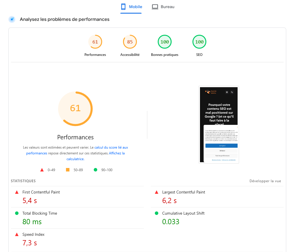 capture d'écran de l'outil Pag Speed Dev pour découvrir les problèmes de performance d'un site