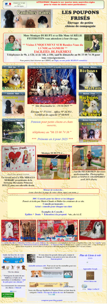 Capture d'écran d'un site qui n'a fait aucun plan avant de lancer son site en ligne