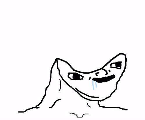 Un meme qui montre quelqu'un de stupide