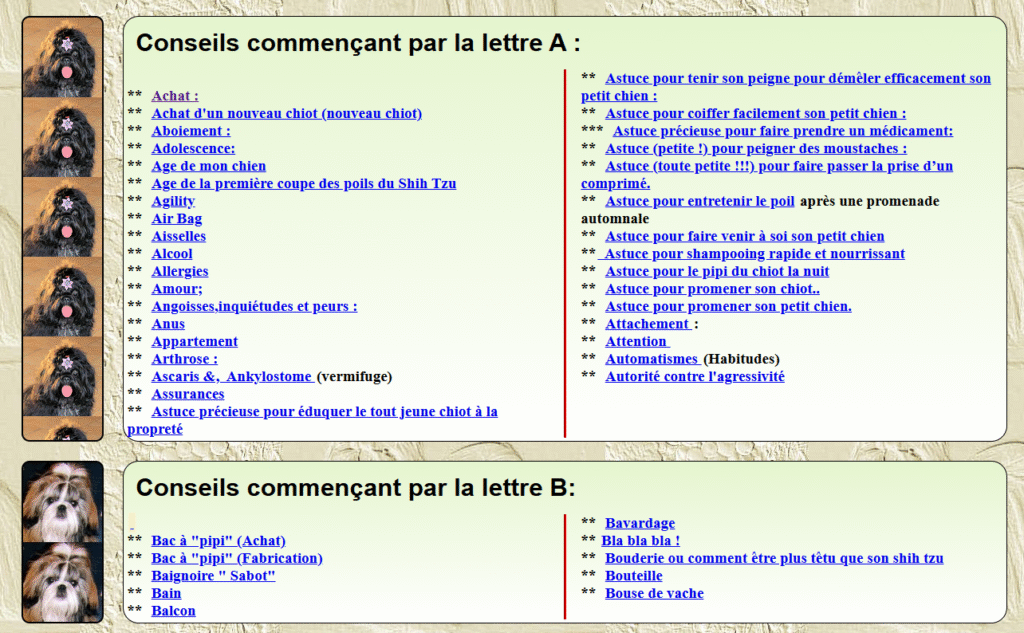 Capture d'écran d'une site qui donne pleins de conseil, mais est mal agencé