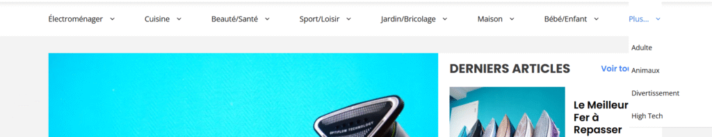 capture d'écran d'un menu d'un site qui parle de plusieurs niches