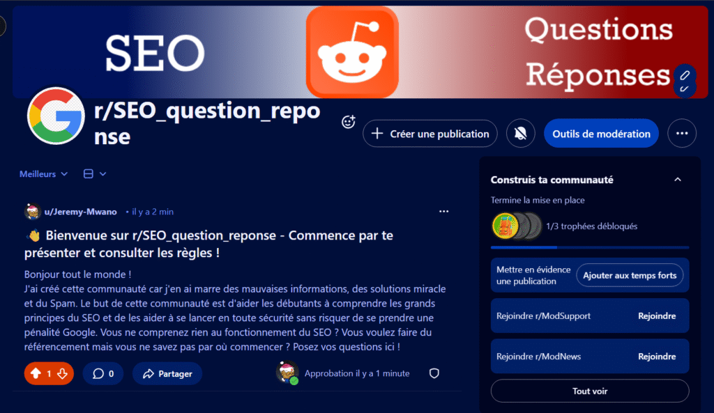 capture d'écran de la communauté Reddit sur le SEO que j'ai crée