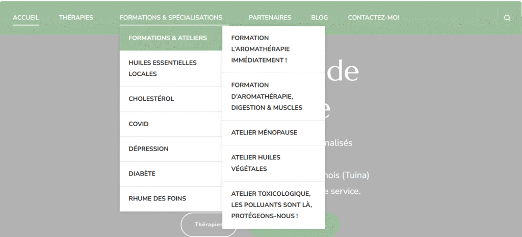Exemple d'un site qui est mal organisé, avec un menu mal fait